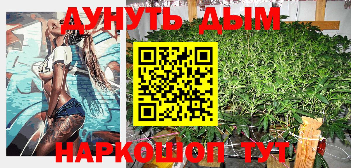 Конопля сатива Саяногорск
